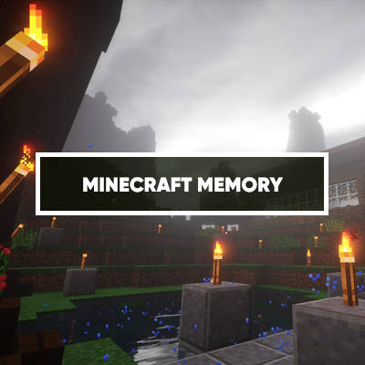 Minecraft Memory